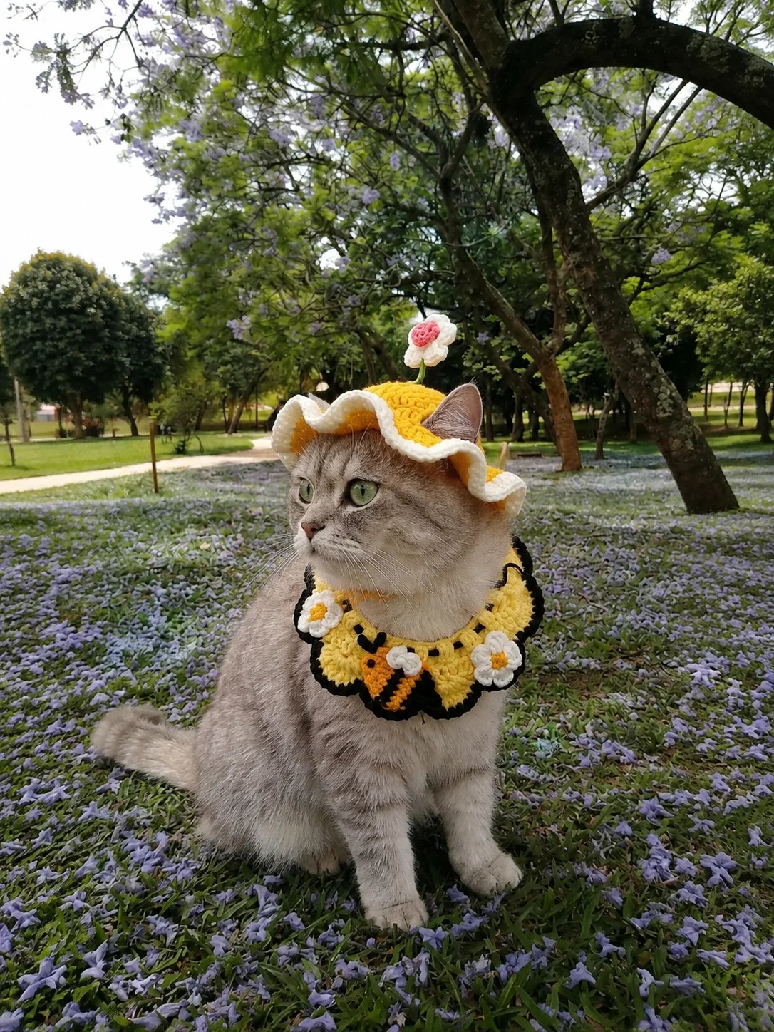 Handmade Crochet Kitty Hat - Turn your furry little roommate into the star of every photo
