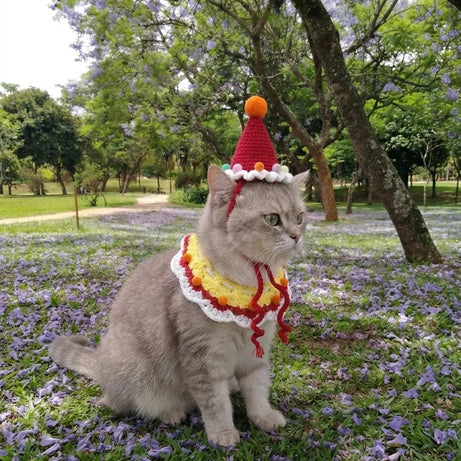 Handmade Crochet Kitty Hat - Turn your furry little roommate into the star of every photo