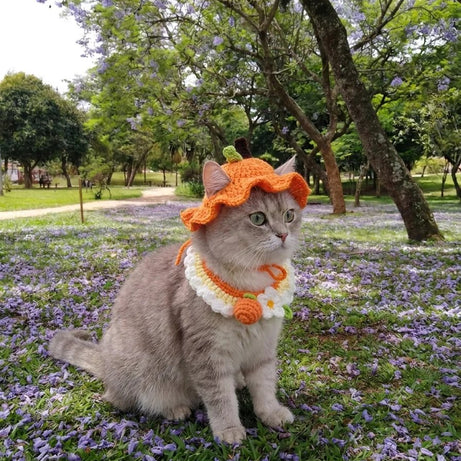 Handmade Crochet Kitty Hat - Turn your furry little roommate into the star of every photo