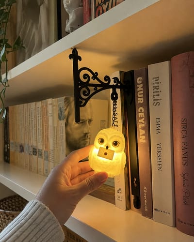 Enchanted Hanging Owl Bookshelf Light – Glowing Book Nook Decor for Readers